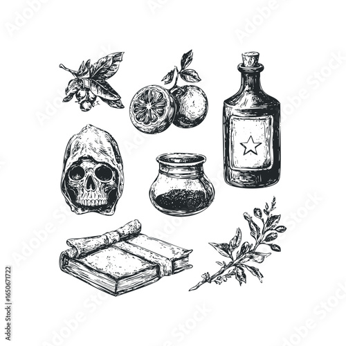 Collection of vintage alchemical and botanical elements including a skull in a hood, jar, and antique book