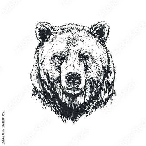 Detailed sketch of a powerful grizzly bear head with intense eyes
