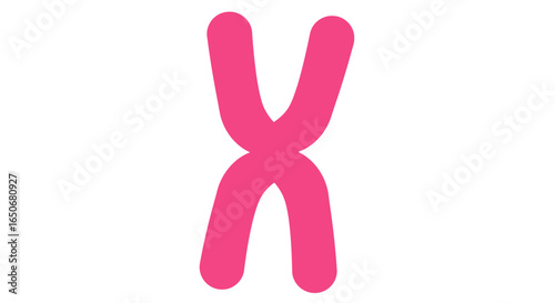 Pink chromosome illustration on a white background