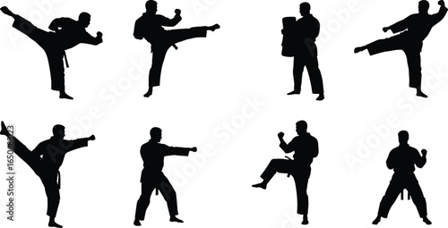 Martial arts silhouette collection with kicking, punching, training poses, karate and taekwondo moves, vector illustration of fighters in action, combat sport and discipline