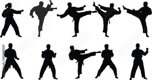 Martial arts silhouettes in dynamic kicking and fighting stances, karate and taekwondo fighters, combat sport poses, self-defense training, vector illustration for sports discipline