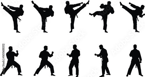 Silhouettes of martial artists performing kicks and stances, karate fighter vector poses, self-defense training, combat sport technique, black silhouette illustration for discipline