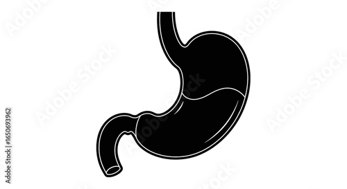 Illustration of a human stomach filled partially with liquid in black and white simple style