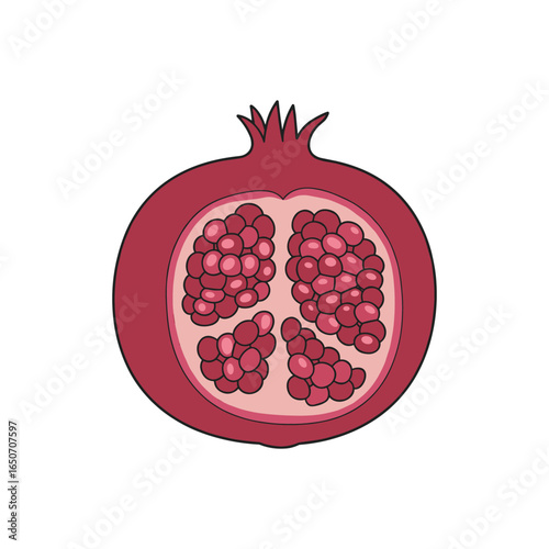 Pomegranate Fruit Half Cut Showing Red Arils Seeds Cartoon Vector Icon Illustration. Antioxidant Superfruit Food Object Icon Concept Isolated Premium Vector. Flat Cartoon Style