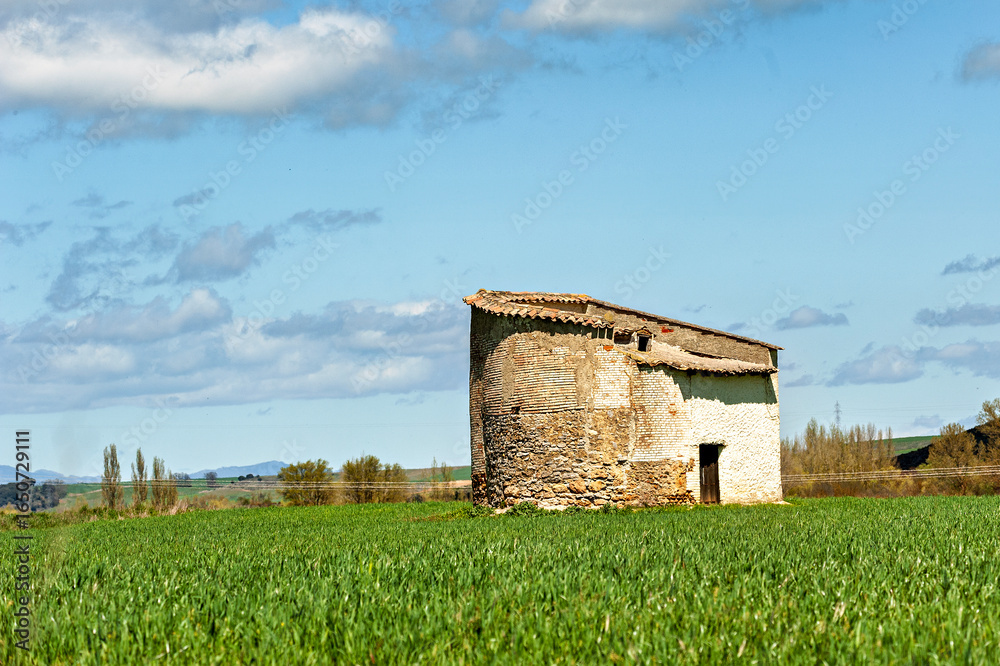 Obraz premium Generated image