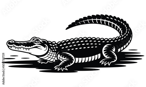 crocodile on black