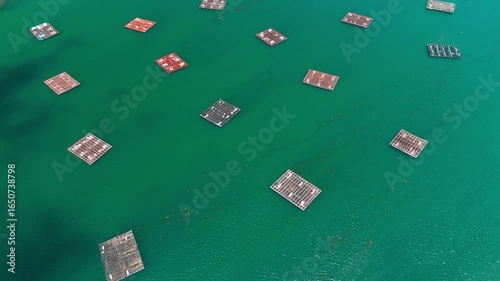 Mussel Farm Platforms in Vigo Bay, Galicia, Spain, Aerial View