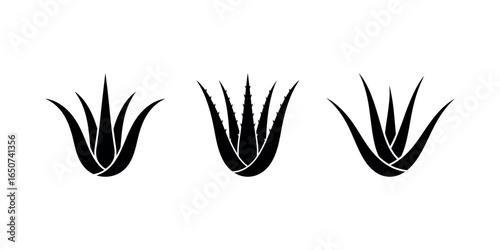 Black aloe vera icons set on white background, representing natural, cosmetic, and medicinal properties