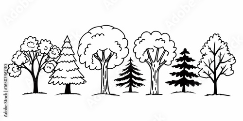 Illustration of various tree types in a row including deciduous and coniferous trees in black and white on transparent background