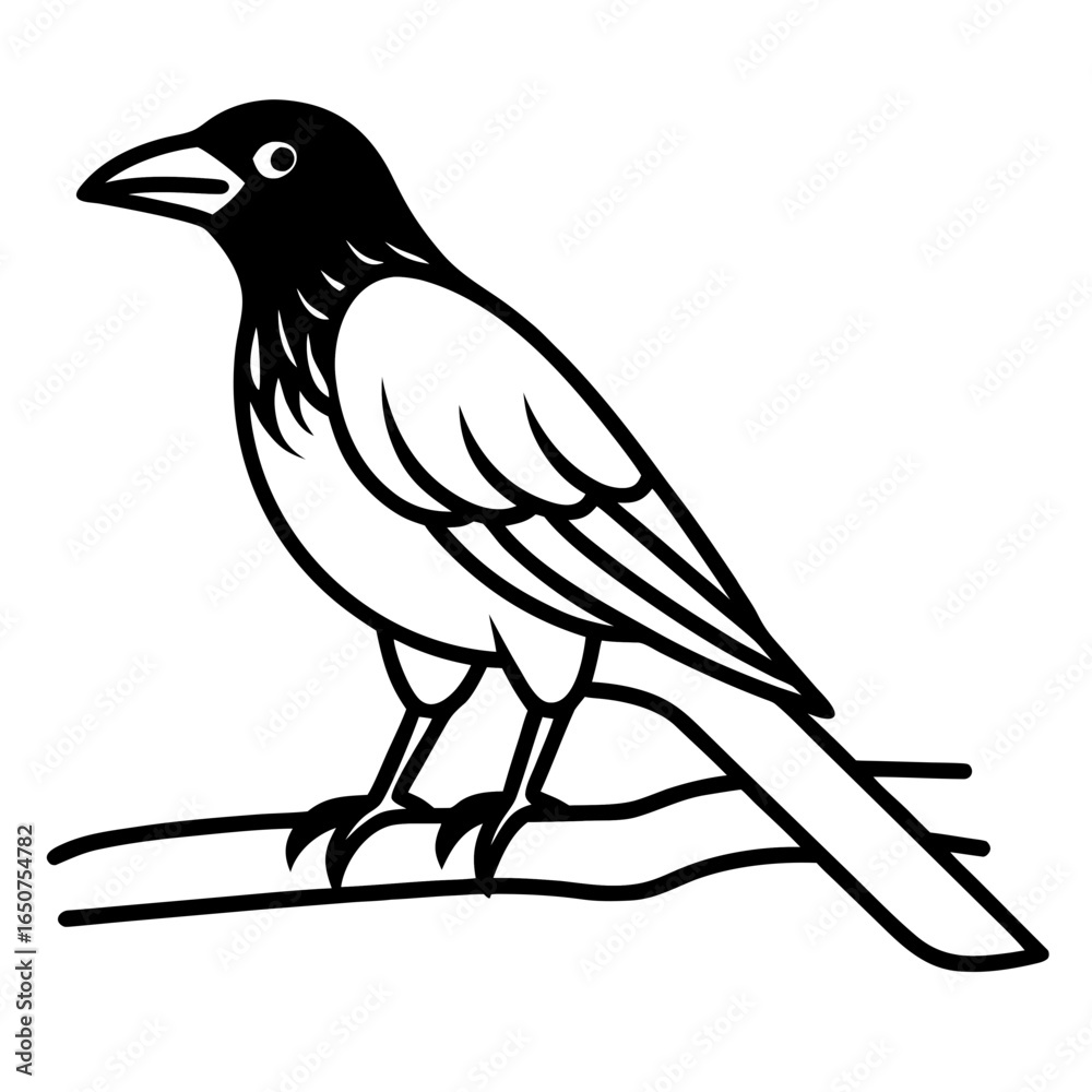 Fototapeta premium Stylized black and white illustration of a magpie perched on a branch