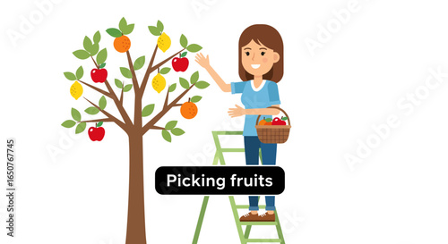 Woman Picking Fresh Fruits from a Tree
