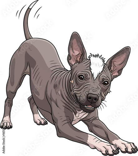 Playful Argentine Pila Dog in play bow pose cute vector illustration