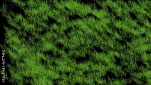green moss background, grass on black background with alpha channel