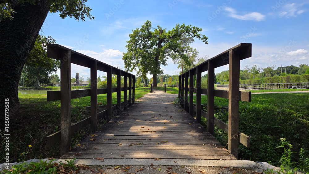 Obraz premium Sturdy wooden bridge crosses grassy ditch, connecting shaded park trails beneath mature trees, inviting walkers to continue along a sunlit footpath
