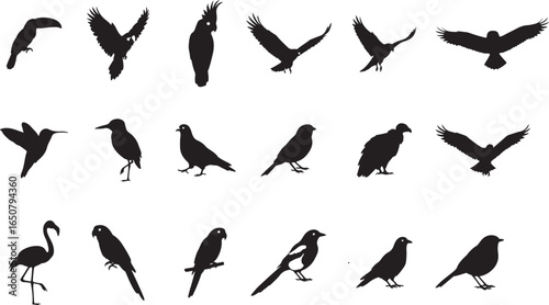 Parrot, Pigeon, Hawk, and Hummingbird Silhouette Set – Flying and Perching Bird Vector Icons for Nature and Wildlife Design