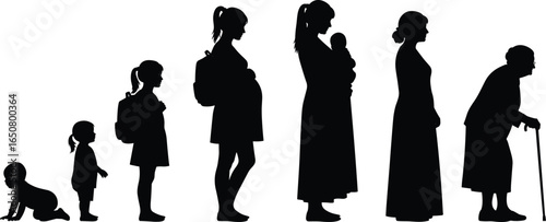 Silhouette of woman life stages, baby, child, teenager, pregnant woman, mother, adult female, elderly lady, aging process, growth