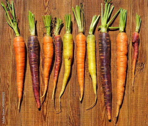 Carottes rustiques de différentes couleurs 