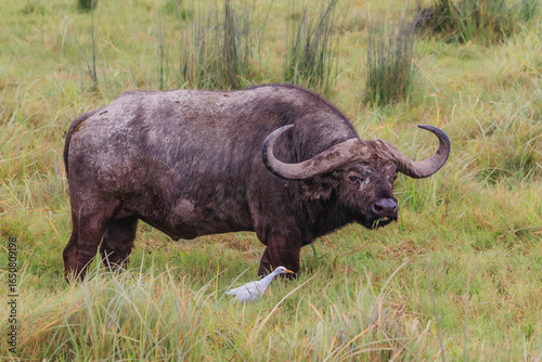 Wallpaper Mural Stay together Torontodigital.ca