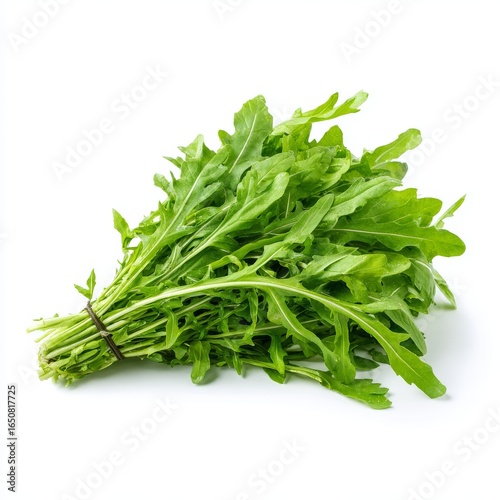 Fresh arugula leaves, a vibrant bunch of healthy greens. Arugula tied and ready to be used in fresh salads.