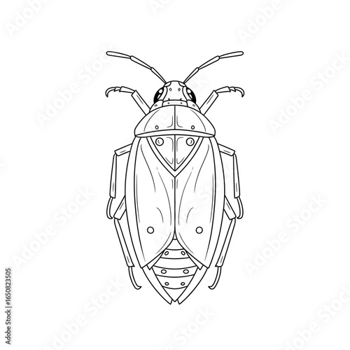 Amazon Giant Water Bug Anime Style Coloring Page for Kids Black and White Insect Illustration