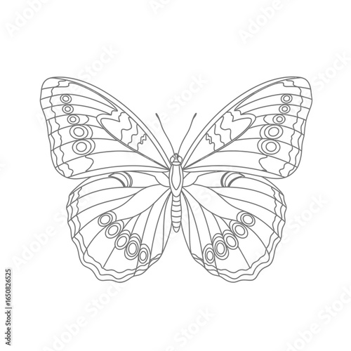 Cute Anime Style Amazon Owl Butterfly Coloring Page for Kids Black and White Jungle Bug Art