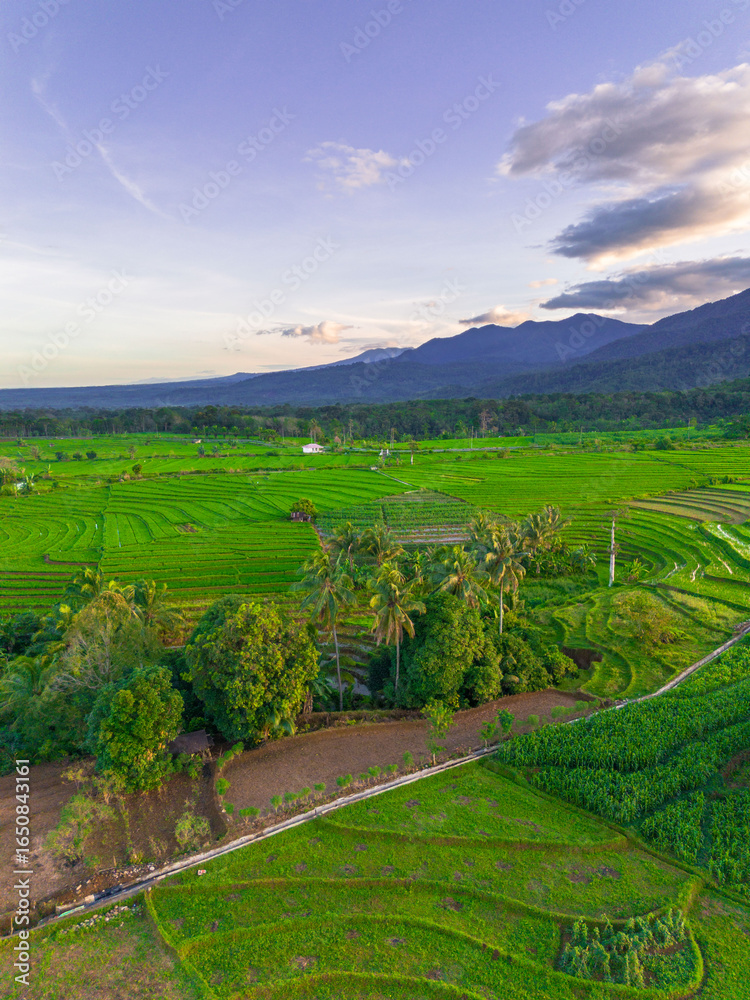 Obraz premium Wonderful sunrise scenery indonesia nature mountain valley forest with bright sky