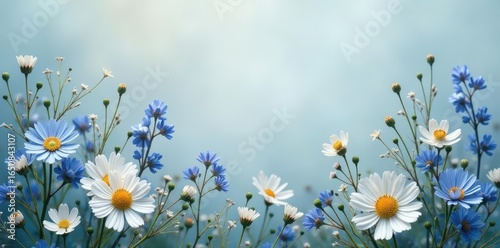 Delicate blue and white flower crown, woven with wildflowers , petals, wildflowers