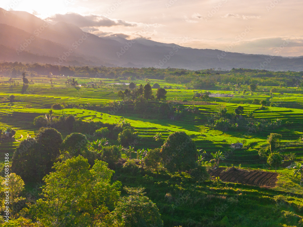 Naklejka premium Wonderful sunrise scenery indonesia nature mountain valley forest with bright sky