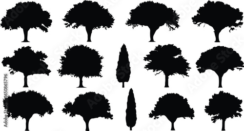 A collection of black silhouette trees, including birch, oak, and pine, and ink splashes form a striking vector nature illustration