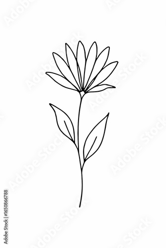 vector illustration of a Flower