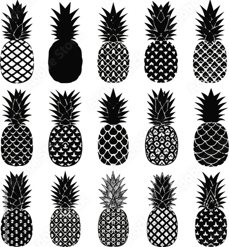 Create a kinds of deferent pineapple, fruit, food, tropical, ripe, fresh, healthy, berry, sweet, nature, leaf, pattern, vector, juicy vector art with white background.