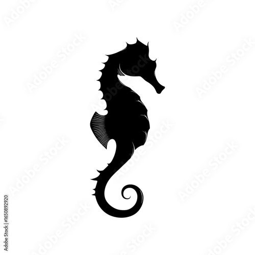 Seahorse Vector