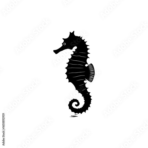 Seahorse Vector