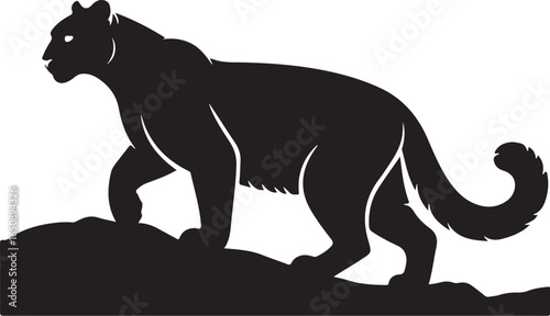 Sleek black panther prowls on rocky terrain, powerful silhouette