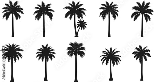 Black palm tree silhouettes set, tropical nature elements, exotic tropical trees collection, isolated vector illustration on white background
