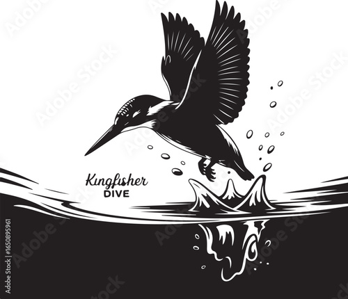 Kingfisher bird dives into water for fish in dynamic motion