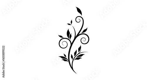 Black decorative floral element with curves on white background with copy space
