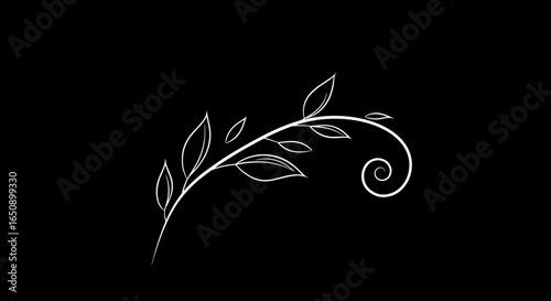 Minimalistic white leaf design on a black background for elegant decoration
