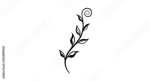 Black leafy plant design with spiral on white background and copy space
