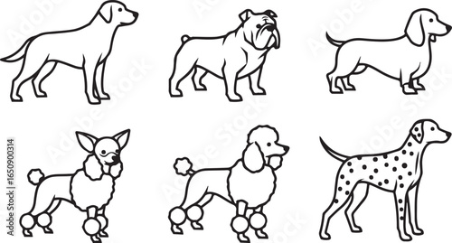 Vector art of collection of six different dog breeds illustrated in a simple line art style, isolated on a white background
