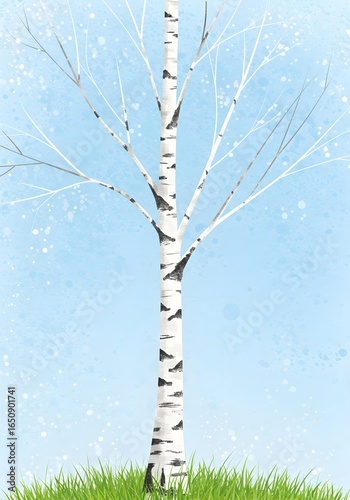 Single Birch Tree Springtime Nature Background.