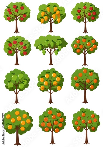 Twelve Colorful Fruit Trees Illustration Set.