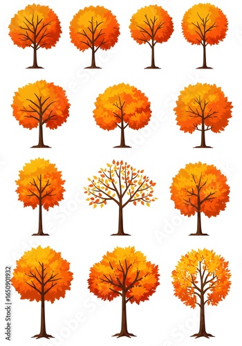 Autumn Trees Collection of Fall Foliage Illustrations.