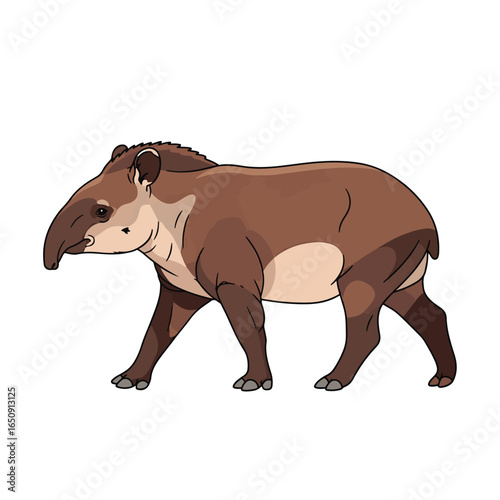 tapir cartoon character isolated on a white background