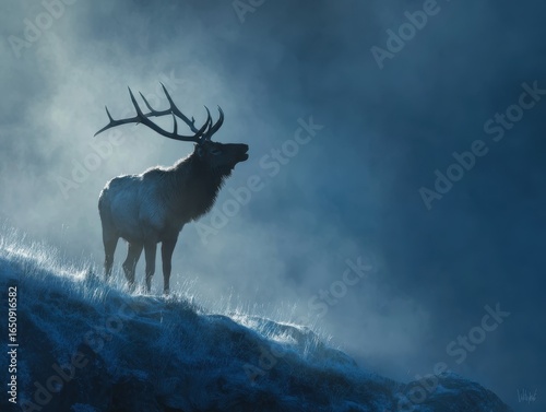 Majestic Elk Silhouette: Proud and Frosty Antlers on a Mist-Shrouded Summit