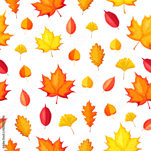 Seamless autumn pattern with colorful leaves in cartoon style. Vector illustration of autumn various leaves: ginkgo, maple, oak, birch, acorn isolated on white background. Packaging. Wrapping paper.