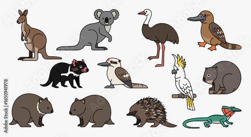 Illustration showcasing a variety of australian animals including mammals birds and a reptile species