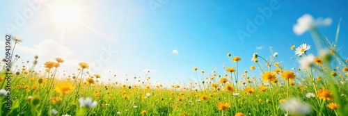 A tranquil, sun-drenched field of wildflowers gently swaying in the breeze, under a vast, clear blue sky Perfect for themes of peace, serenity, and natural beauty , freshness, sunlight