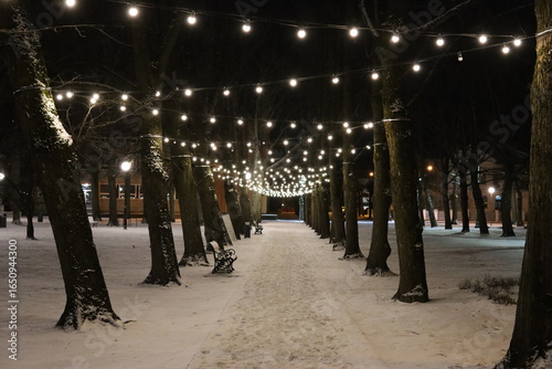 people walking in the city
