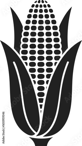 Corn cob, maize plant, agricultural staple in vintage engraved style